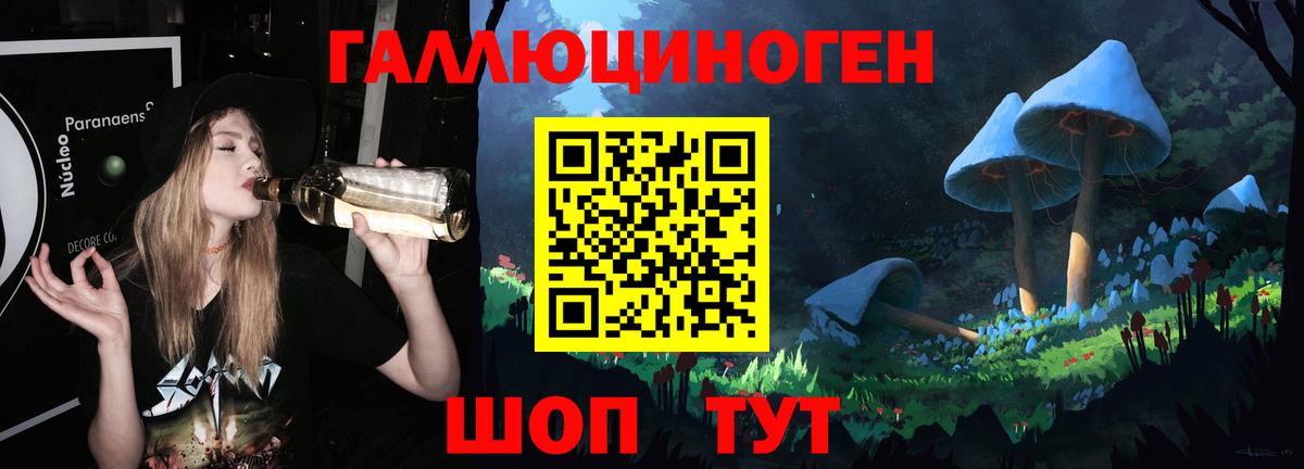 Малгобек  Галлюциногенные грибы Psilocybine cubensis  Вход с VPN 